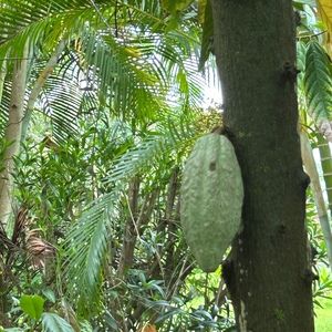 Meet your Posher, Deborah d